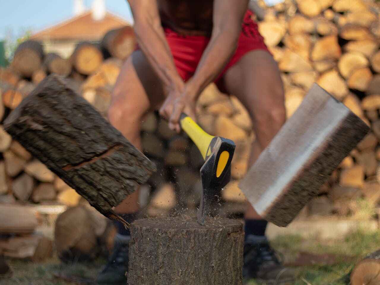 Residential Tree Removal in Kihei, HI